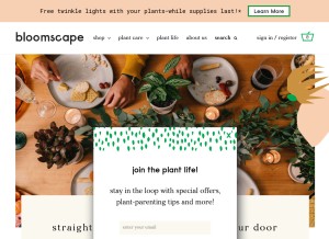 How bloomscape.com looks like on a tablet such as an iPad.
