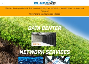 How bluebirdnetwork.com looks like on a tablet such as an iPad.