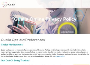 How bluecava.com looks like on a tablet such as an iPad.