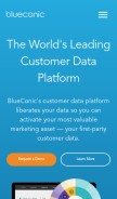How blueconic.com looks like on a mobile device such as an iPhone.