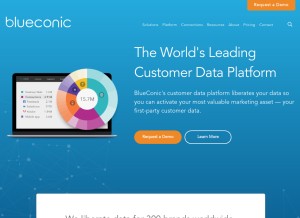 How blueconic.com looks like on a tablet such as an iPad.
