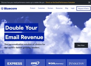How bluecore.com looks like on a tablet such as an iPad.