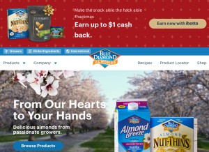 How bluediamond.com looks like on a tablet such as an iPad.