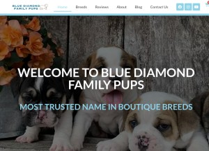 How bluediamondfamilypups.com looks like on a tablet such as an iPad.