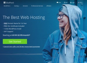 How bluehost.com looks like on a tablet such as an iPad.