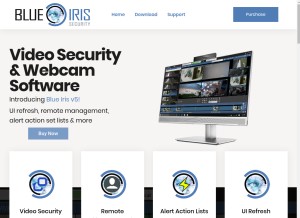 How blueirissoftware.com looks like on a tablet such as an iPad.