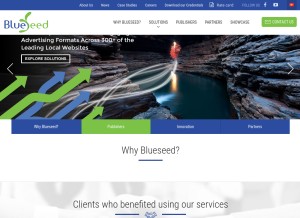 How blueseed.tv looks like on a tablet such as an iPad.