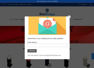 How blueshoppy.com looks like on a tablet such as an iPad.