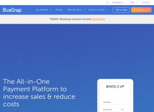 How bluesnap.com looks like on a tablet such as an iPad.