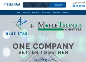 How bluestarpro.com looks like on a tablet such as an iPad.