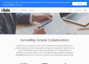How bluetie.com looks like on a tablet such as an iPad.