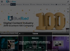 How bluetoad.com looks like on a tablet such as an iPad.