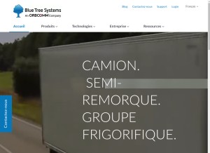 How bluetreesystems.com looks like on a tablet such as an iPad.