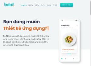 How bmd.com.vn looks like on a tablet such as an iPad.