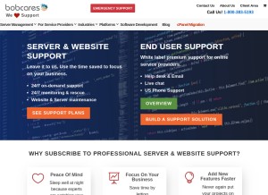 How bobcares.com looks like on a tablet such as an iPad.