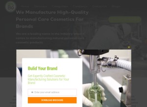 How bointernational.net looks like on a tablet such as an iPad.