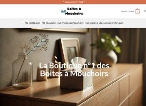 How boites-a-mouchoirs.com looks like on a tablet such as an iPad.