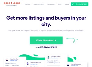 How boldleads.com looks like on a tablet such as an iPad.