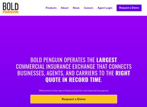 How boldpenguin.com looks like on a tablet such as an iPad.