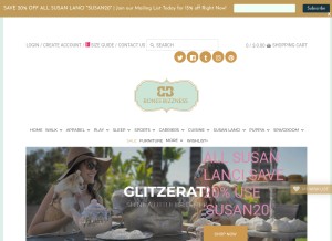 How bonesbizzness.com looks like on a tablet such as an iPad.