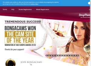 How bongamodels.com looks like on a tablet such as an iPad.