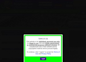 How bordertraffic.com looks like on a tablet such as an iPad.