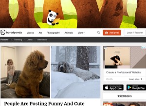 How boredpanda.com looks like on a tablet such as an iPad.