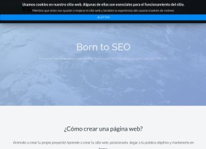 How borntoseo.com looks like on a tablet such as an iPad.