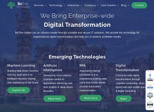 How botreetechnologies.com looks like on a tablet such as an iPad.