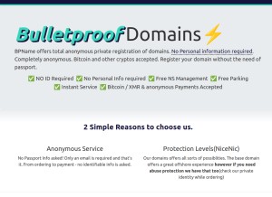 How bpname.com looks like on a tablet such as an iPad.