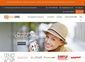 How brainsins.com looks like on a tablet such as an iPad.