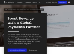 How braintreepayments.com looks like on a tablet such as an iPad.