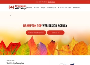 How bramptonwebdesign.com looks like on a tablet such as an iPad.