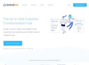 How brandbot.com looks like on a tablet such as an iPad.