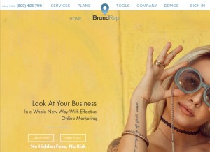 How brandrep.com looks like on a tablet such as an iPad.