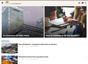 How brasskangaroo.com looks like on a tablet such as an iPad.
