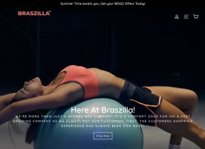 How braszilla.com looks like on a tablet such as an iPad.