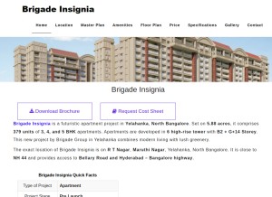 How brigadeinsignia.ind.in looks like on a tablet such as an iPad.