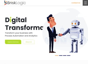 How brisklogic.co looks like on a tablet such as an iPad.