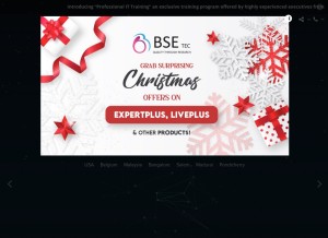 How bsetec.com looks like on a tablet such as an iPad.