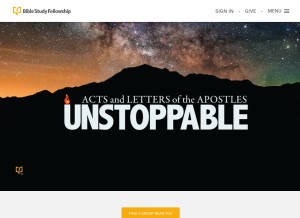 How bsfinternational.org looks like on a tablet such as an iPad.