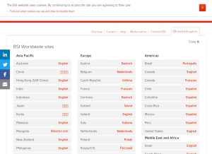 How bsigroup.com looks like on a tablet such as an iPad.