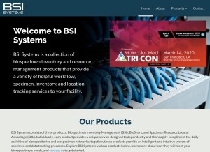 How bsisystems.com looks like on a tablet such as an iPad.