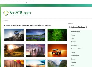 How bsnscb.com looks like on a tablet such as an iPad.