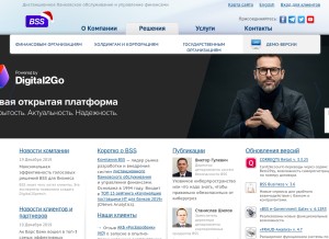 How bssys.com looks like on a tablet such as an iPad.