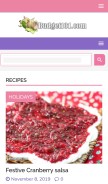How budget101.com looks like on a mobile device such as an iPhone.