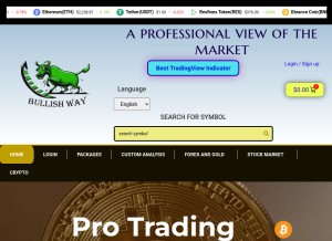 How bullishway.com looks like on a tablet such as an iPad.