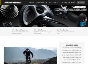 How bumsonthesaddle.com looks like on a tablet such as an iPad.