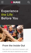 How burkemuseum.org looks like on a mobile device such as an iPhone.