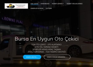 How bursaenuygunotocekici.net looks like on a tablet such as an iPad.